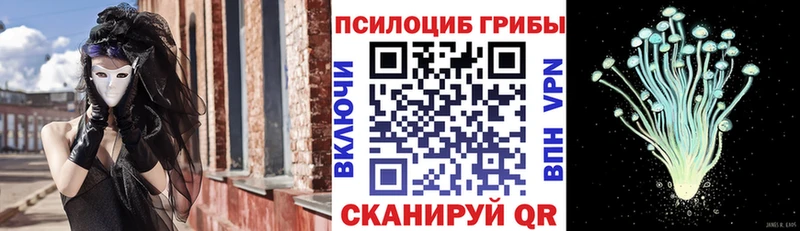 Галлюциногенные грибы Psilocybine cubensis Купить где Тында